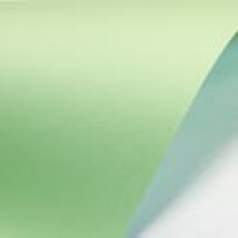Бумага Paperline 130 светло зеленый/пастель (160, А4)