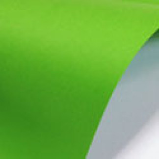 Бумага Paperline 230 темно-зеленый/неон (160, А4)